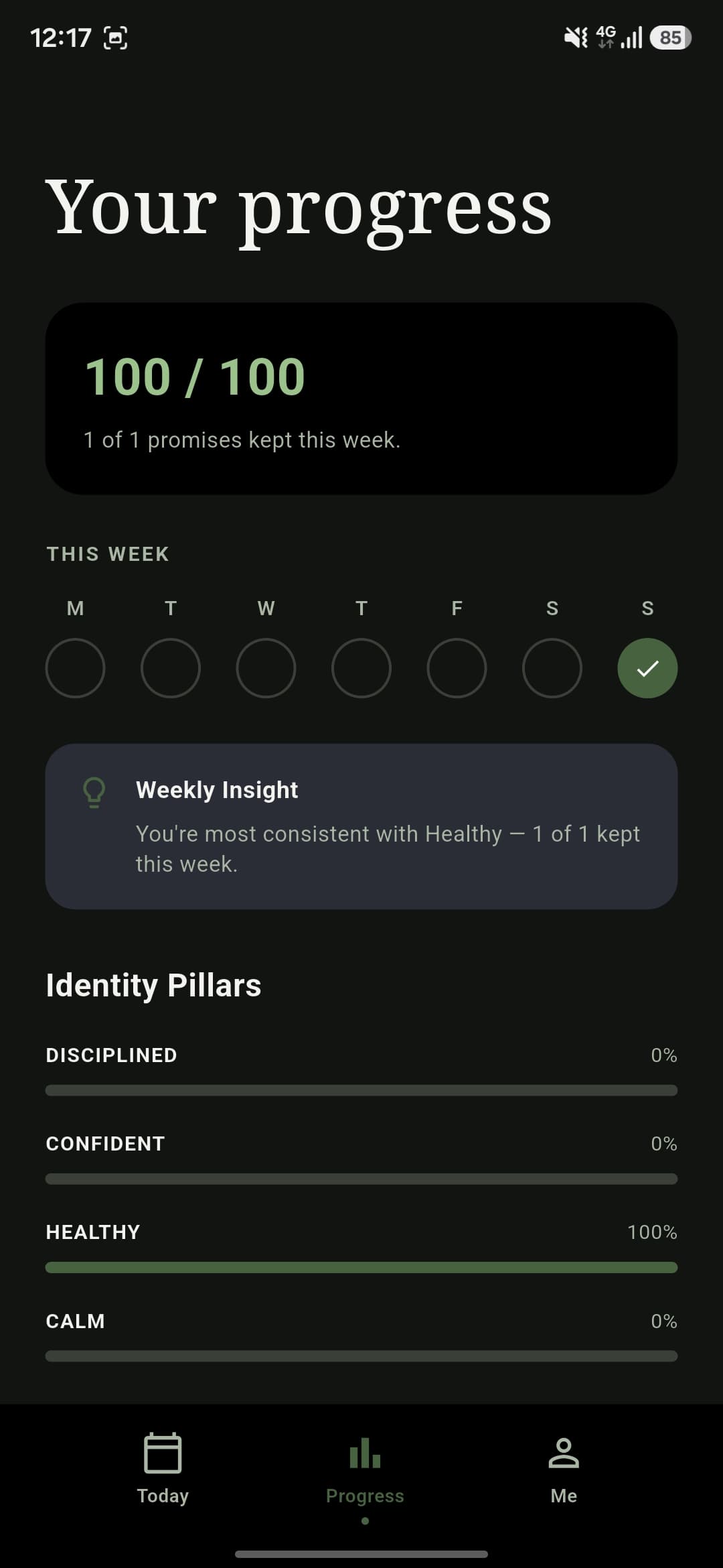 Progress screen showing a weekly streak and identity pillar completion bars